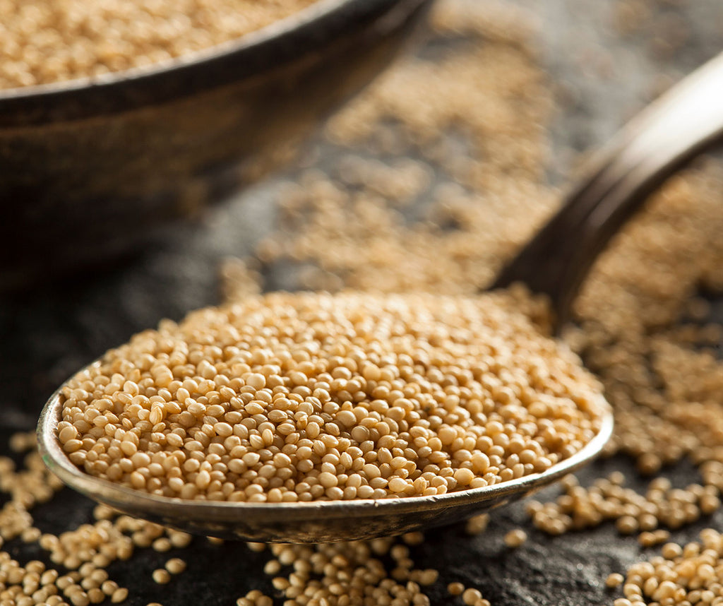 Deep Dive into Research on Amaranth & Squalene